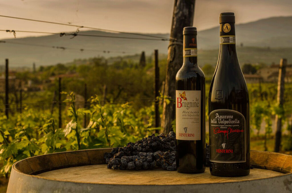 ripasso wine tasting
